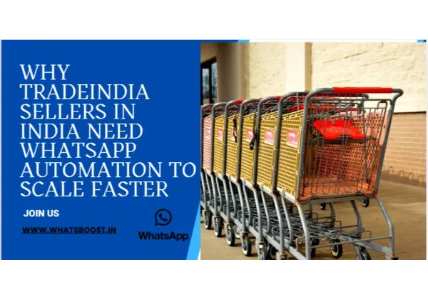 Automatización de WhatsApp para mayoristas B2B en España
