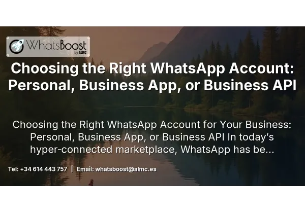 Choosing the Right WhatsApp Account: Personal, Business App, or Business API