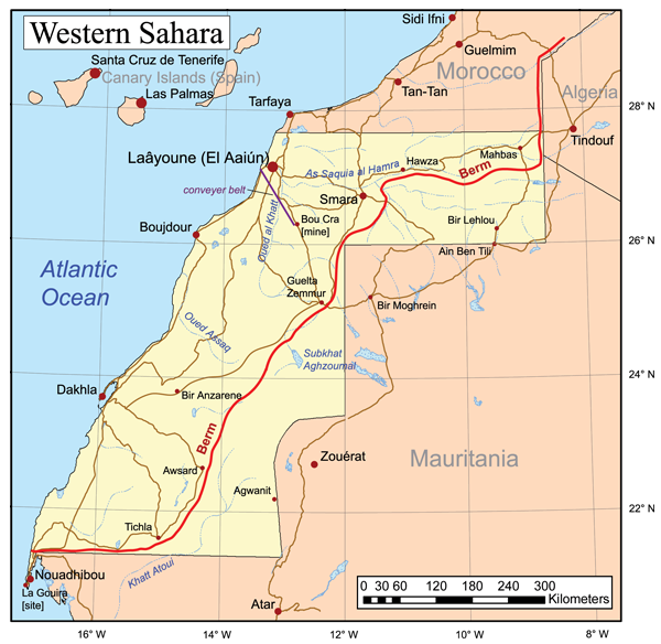 Flag of Western Sahara