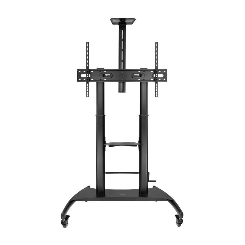 Display mount TooQ Suelo/Pared fijo HIPERION 55"-100"