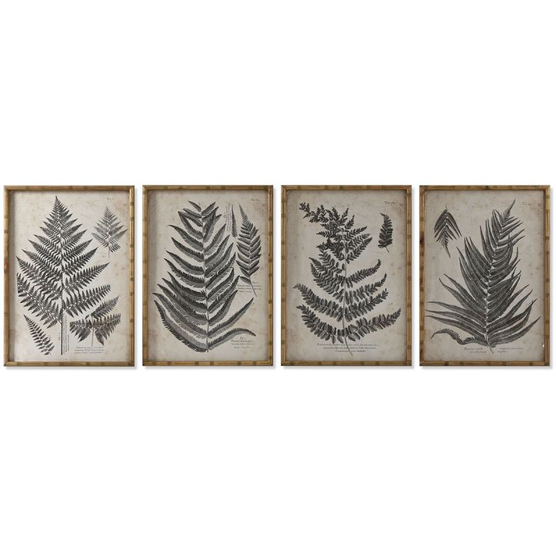 Cadre Home ESPRIT Verre Sapin 50 x 3 x 70 cm 50 x 2,5 x 70 cm