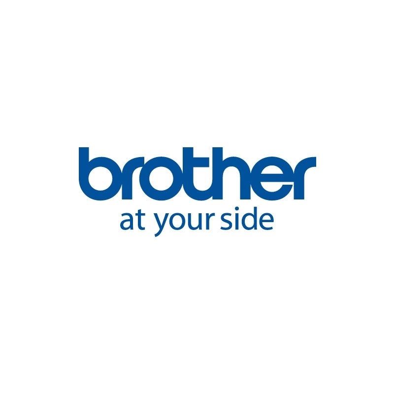 Papel o etiqueta para impresión Brother 12 Rollos Ancho 51mmx26mm